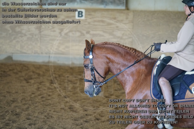 s_K3F04091.JPG